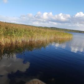 Agroturystyka „U Rzeźbiarza”, hotel em Sławno