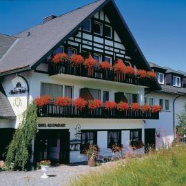 Heidehotel Hildfeld, hotel v destinácii Winterberg