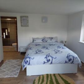 Cabană cu teren de tenis -- parter, hotel a Băniţa