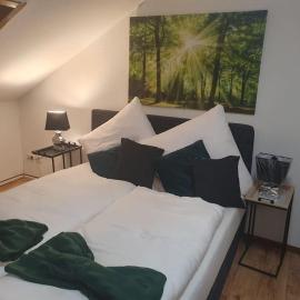 Waterfalls Apartment, hotel in Triberg