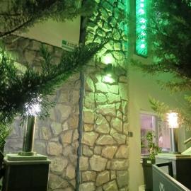 Green House, hotel a Néa Péramos