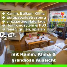 Ferienhaus Schwarzwald bei Straßburg Europapark für 12 Personen auf 160qm, hotel en Rheinau