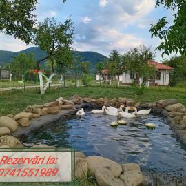 Desculti prin iarba- la 6,6 km de centrul Piatra Neamt, hotel sa Piatra Neamţ