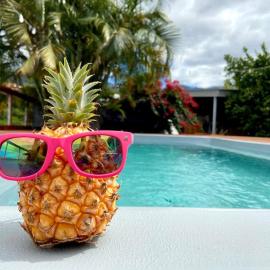 Cocooning Tropic Studio avec Jacuzzi privatif, hotel a Saint-Louis