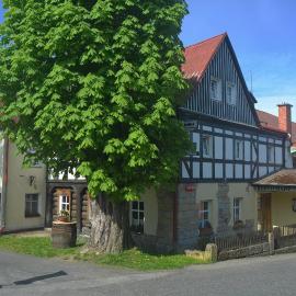Hotel U Zeleného Stromu - Zum Grünen Baum, отель в городе Грженско