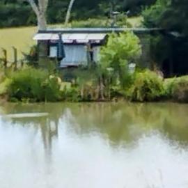 Peaceful ensuite lakeside cabin 'Tench', hotel in Hadlow Down