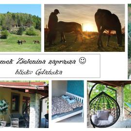 Domek Zielenina, hotel en Mierzeszyn