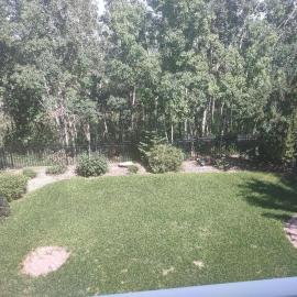 Spacious One Bedroom Walkout Basement Suite
