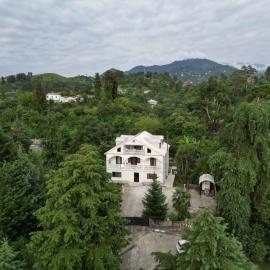 White house with Citrus Garden, 15 min walk to Beach