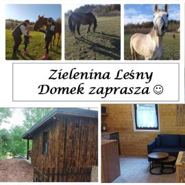 Zielenina Leśny Domek, hotel em Mierzeszyn