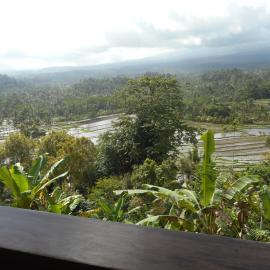 Villa Dukuh, hotel u gradu Selat
