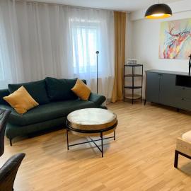 Klimatisiertes Altstadt-Apartment mit Terrasse im Zentrum Sankt Pölten - Aelium Cetium