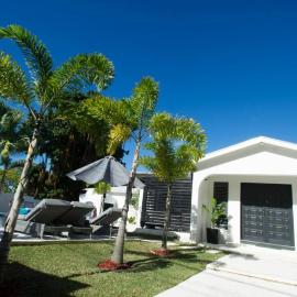 Dunn Dreamin Barbados