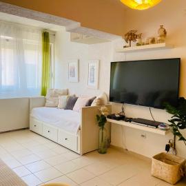 Studio apartment Dobrota