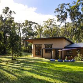 Gumtree Spring