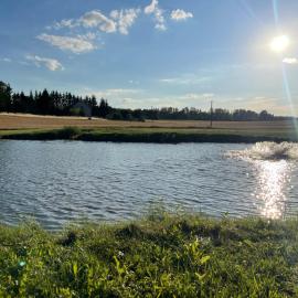Domki Nad Malowniczym Stawem / Raj Dla Wędkarzy / Mazury, hotel u gradu Pjecki
