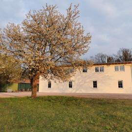 Ferienwohnung Gestüt von Erden, отель в городе Хаслох