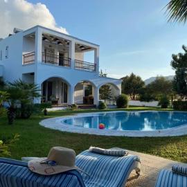 Villa Sofia with garden, pool and lounge areas