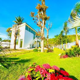 24 Gold Homestay