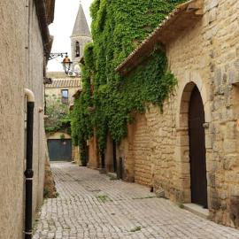 Entre Uzès et le Pont-du-Gard le Logis d'Autrefois, hotel in Castillon-du-Gard