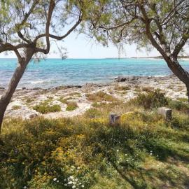 Punta Grossa - Porto Cesareo, khách sạn ở Punta Prosciutto