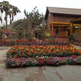 Atithya Resort: Khānāpāra şehrinde bir otel
