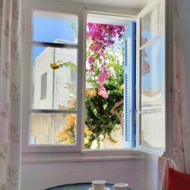 Tinos Bougainvillea