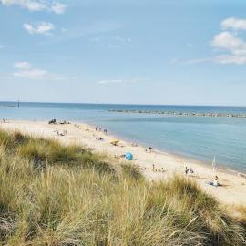 Dune Roamin': Sea Palling's Treasure - NOW with TV