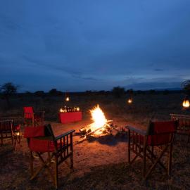 Africa Safari Serengeti Ikoma Camping – hotel w Parku Narodowym Serengeti