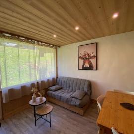 Charmant appart 4 pers. avec chambre indép., terrasse, Wi-Fi, parking, skis, proche Crest-Voland - FR-1-733-110