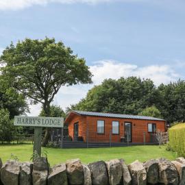 Harry's Lodge, Hotel in Chesterfield