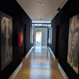 Hotel Barril โรงแรมในปริมาเวรา โด เลสชิ