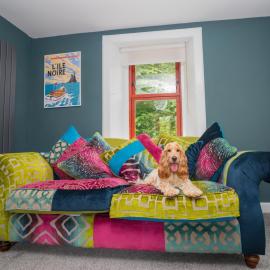 Tig Cottage - a rural, quirky, pet friendly 2 bedroom cottage near Ballantrae
