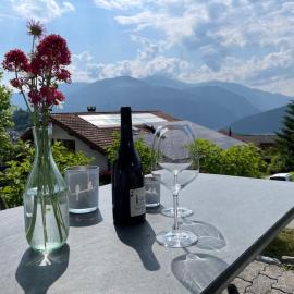 Wohnung mit fantastischer Aussicht, hotel a Trin