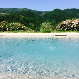 AGRITURISMO PODERE LE PIALLE