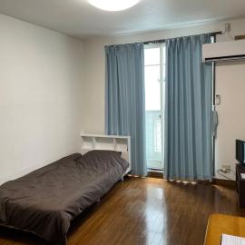 アルピエc205号室 Wi-Fi無料熊本城徒歩5分, hotel in Kumamoto