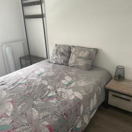 Chambre double privée, hotel in Annemasse