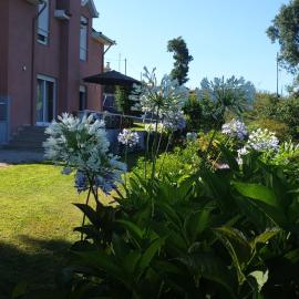 Alto Belo, hotel i Felgueiras