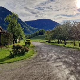Leo-Hof, hotel em Hirschwang