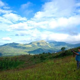 The Forest Resort - Muneeswaramudi Eco Hermitage and Farms