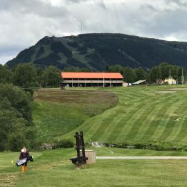 Ljusnedal lägenhet med golf, paddel, fiske och skidåkning, hotel a Ljusnedal