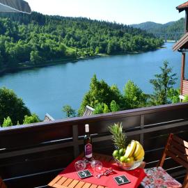 Madora - Studio Apartman for Two in Fužine, near the Lake, hotel in Fužine