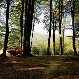 Cabana Cheia Fericirii - Forest Family Retreat, מלון בקאיה