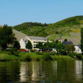 Vegan Hotel und Restaurants Nicolay 1881, hotel em Zeltingen-Rachtig