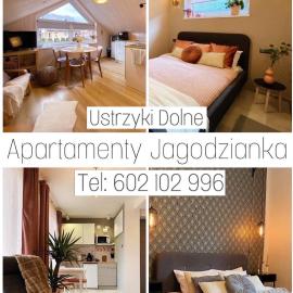 Apartamenty Jagodzianka - Jacuzzi, Sauna, Hot-bania, Tężnia