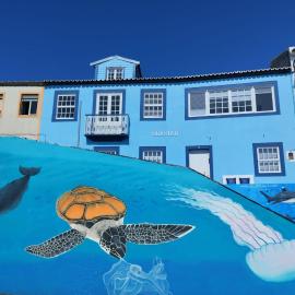 SEASTAR nº36