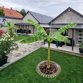Sunny Garden Apartment, hotel in Bogács