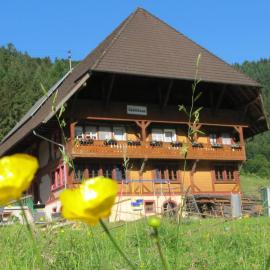 Wäldebauernhof, hotel a Gutach