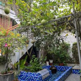 Asahi Luxstay - Homestay Đường Lâm Hostel, hotelli kohteessa Sơn Tây