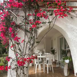 Le Bouganville apartment